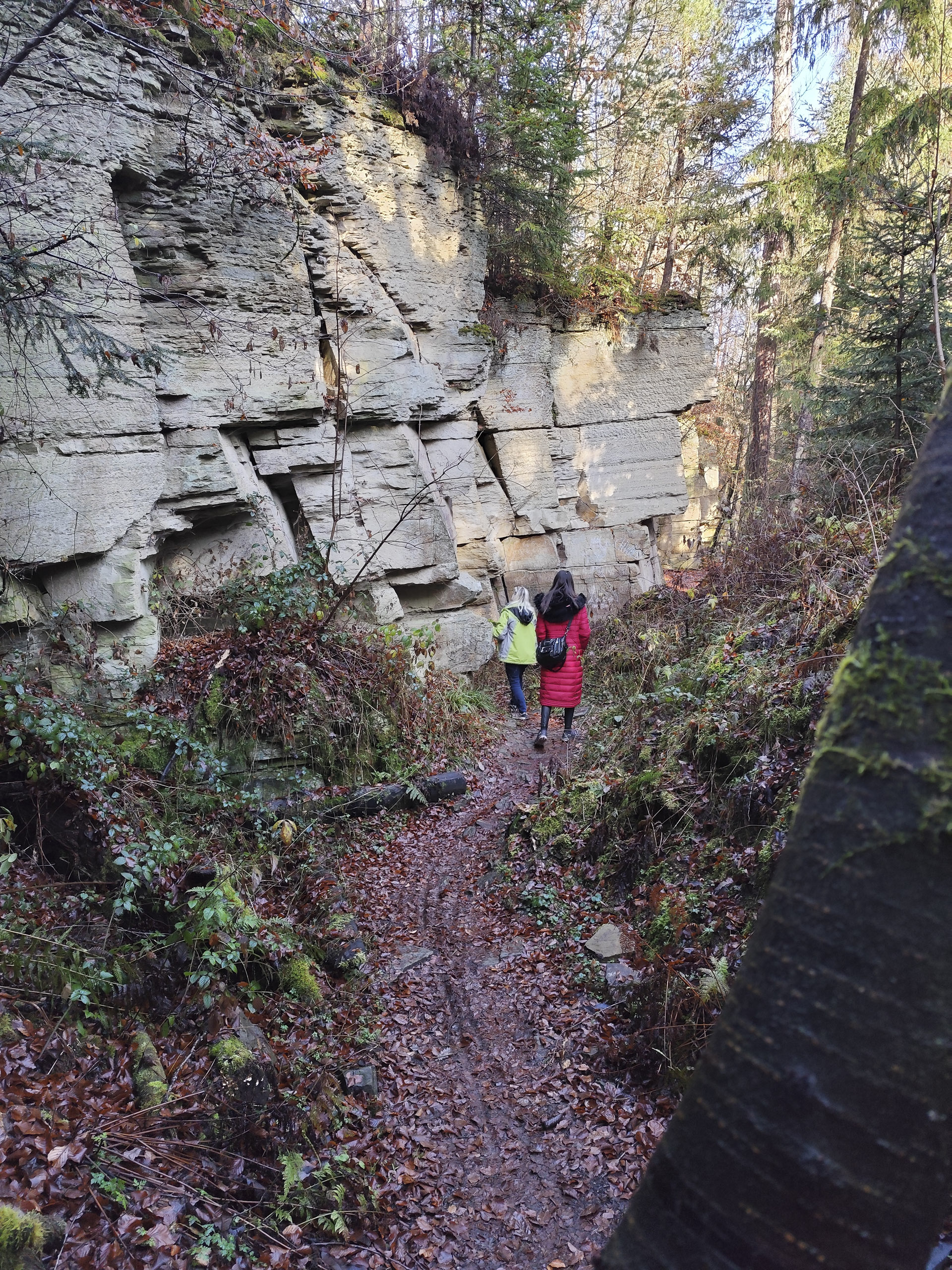 20251129121427 IMG 20251129 121426